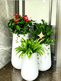 慈溪室内植物出租价格-海曙植物摆放方案-鄞州植物摆放技巧-江北花卉租摆服务